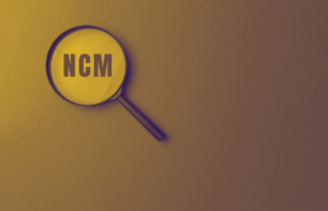 Leia mais sobre o artigo NCM: A Importância da Correta Classificação para o Sucesso do seu Negócio